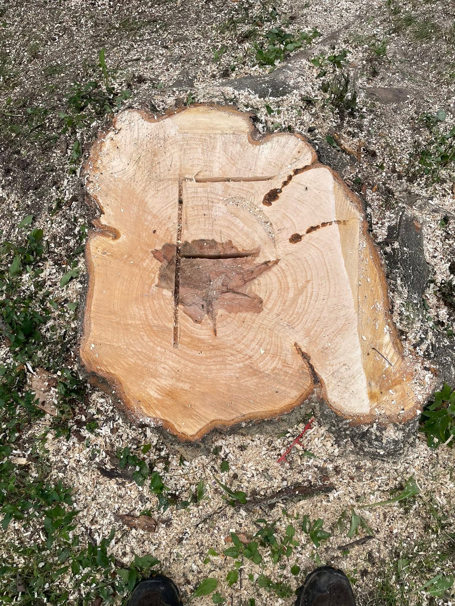 Flush cut, clean finish